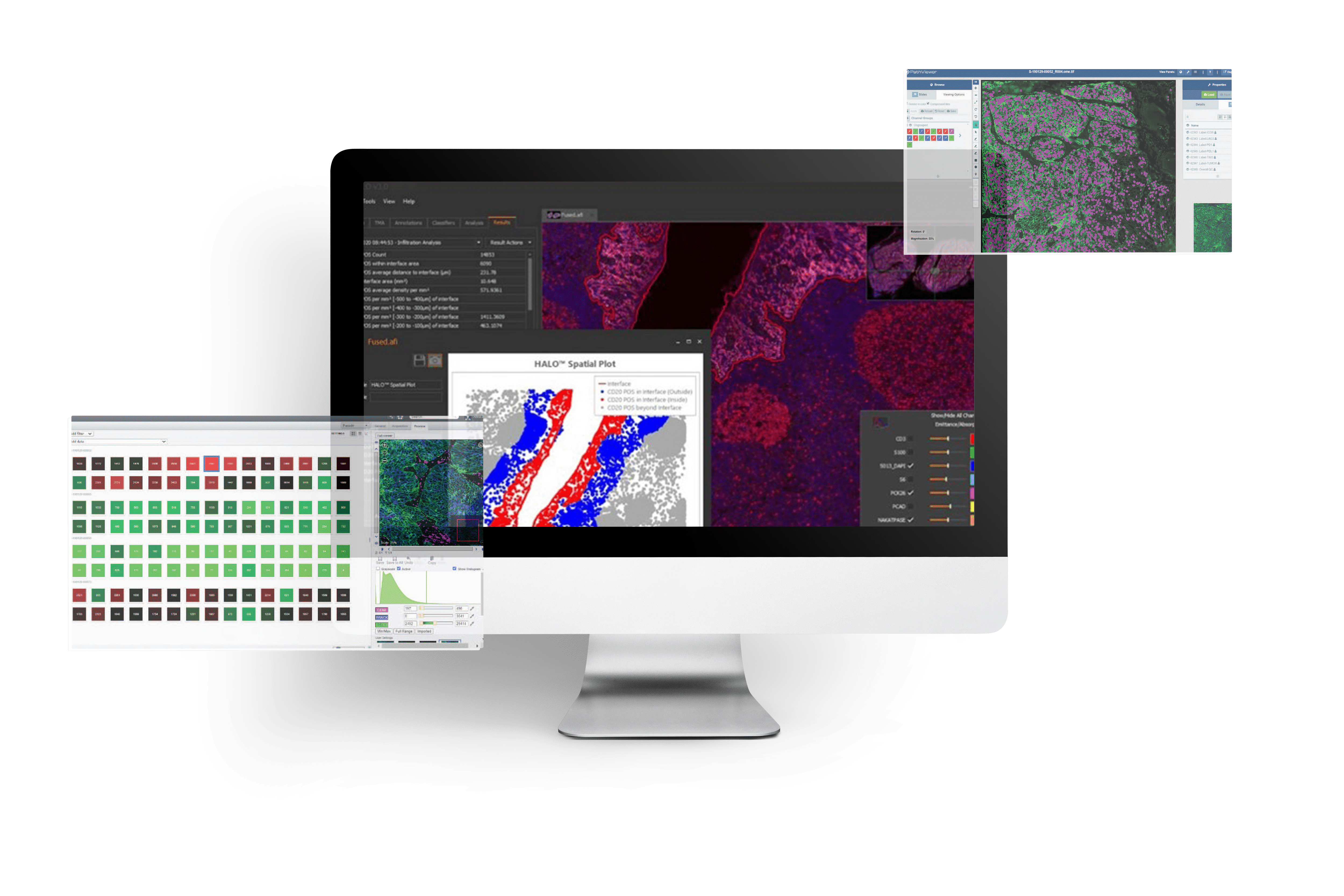 biomarkeranalysis